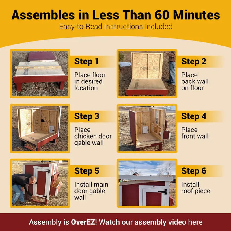 OverEZ XL Chicken Coop – Accommodates Up to 20 Birds