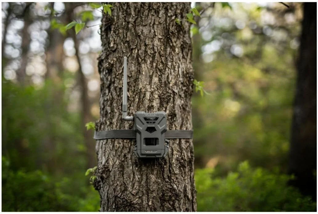 SPYPOINT Flex - M Twin Pack Cellular Trail Camera - Hunting Trail Monitor with GPS, Night Vision, Dual - Sim LTE, IP65 Water - Resistant