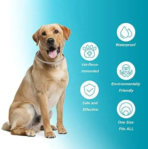 Universal Flea & Tick Collar for Dogs – 8-Month Protection, Allergy-Free, Waterproof, Adjustable