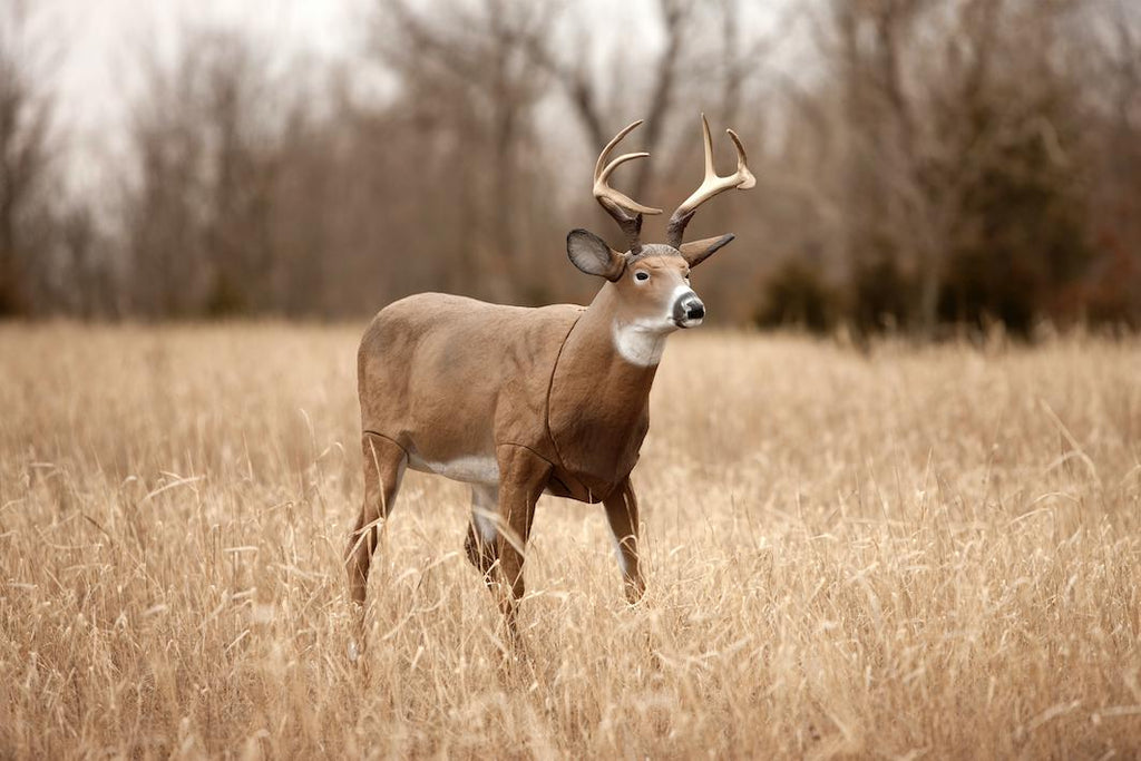 Flambeau Outdoors 5965MS Boss Buck Masters Series Deer Decoy
