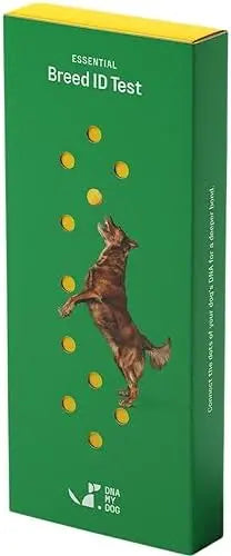 DNA My Dog Essential Breed & Trait Test  Non-Invasive Cheek Swab for Mixed-Breed Identification & Personality Insights