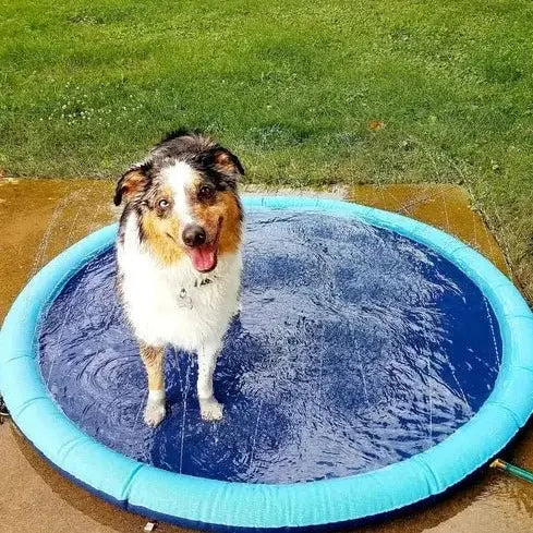 SplashyPaws Portable Backyard Splash Pad for Kids