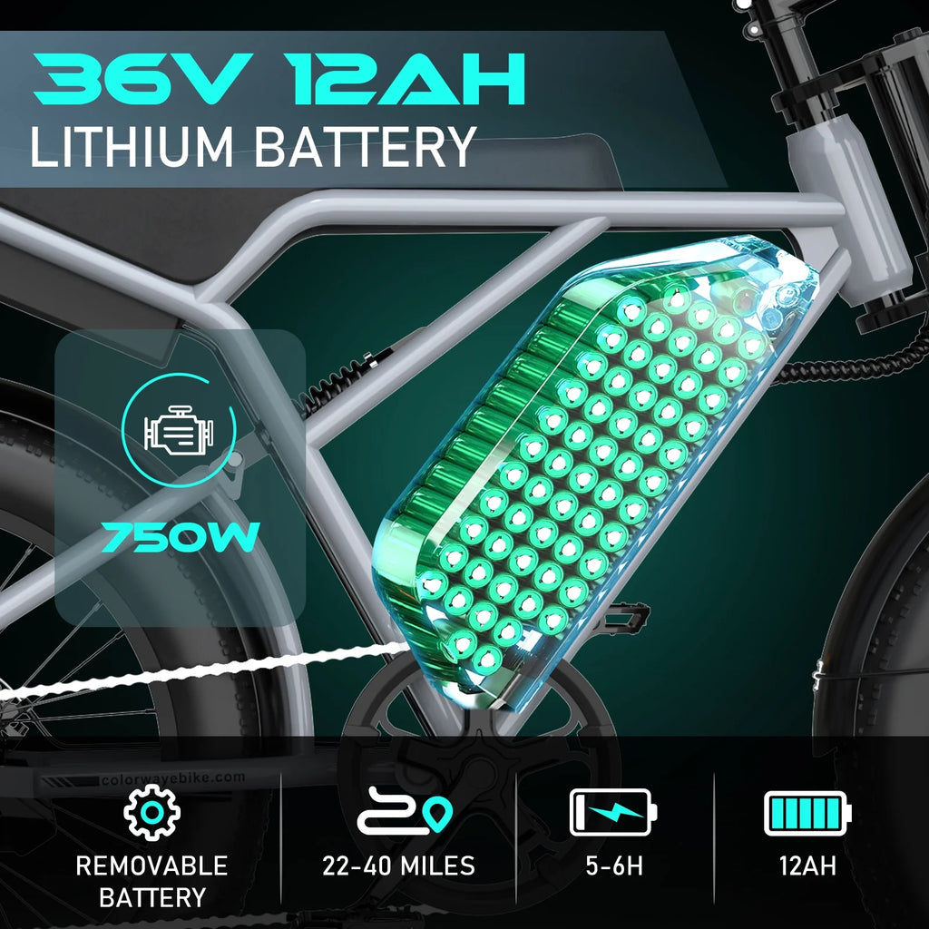 COLORWAY 750W 20"x4.0 Fat Tire Electric Bike, 48V 15ah Battery, Off - Road E - Bike for Adults, UL2849 Certified