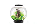 biOrb 8 Gallon Aquarium Multi Color Remote Controlled