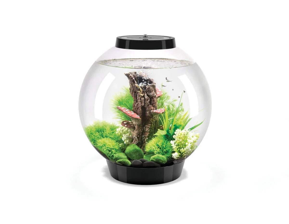 biOrb 8 Gallon Aquarium Multi Color Remote Controlled
