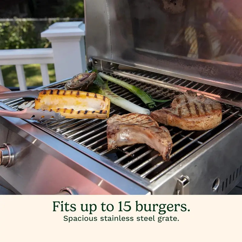 Cuisinart Chef Style 2-Burner Tabletop Propane Grill  Lightweight Outdoor Cooking
