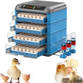 Digital Egg Incubator  192/256/500 Capacity, Auto-Turn, Temp/Humidity Control & LED Display