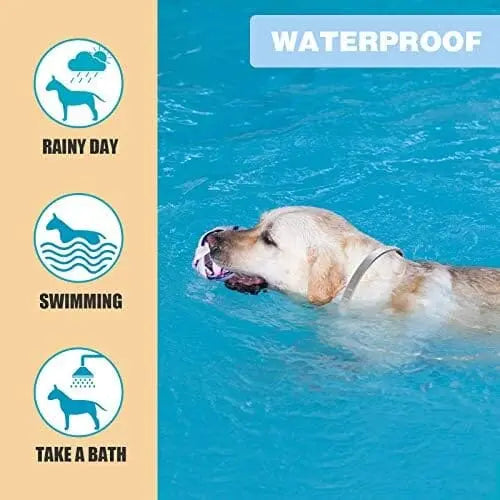 Universal Flea & Tick Collar for Dogs – 8-Month Protection, Allergy-Free, Waterproof, Adjustable