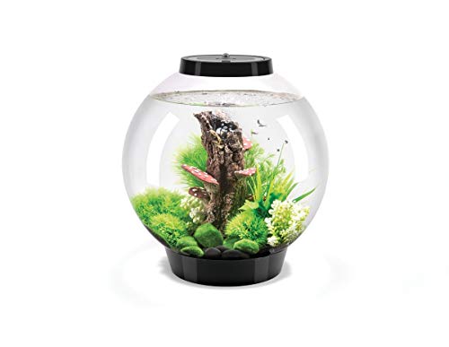 biOrb 8 Gallon Aquarium Multi Color Remote Controlled