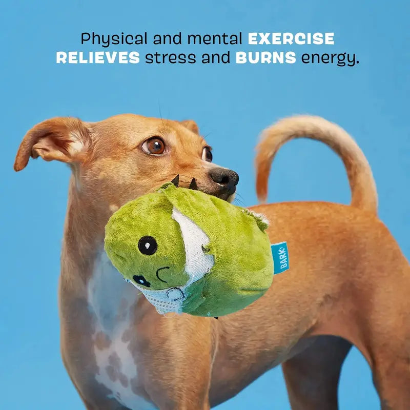 Consuela the Cactus Interactive Plush Toy for Large Dogs  Squeaker & Hidden Toy, Non-Toxic, Indoor/Outdoor Use