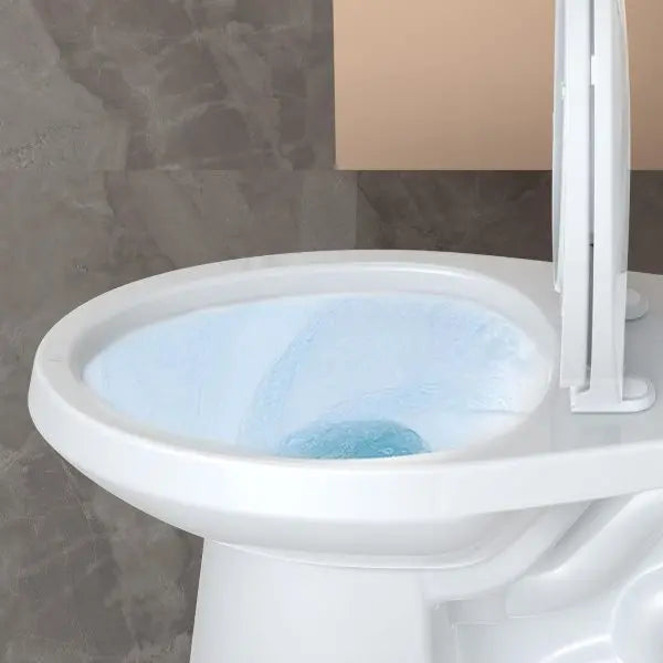 Cotton White ADA-Height Two-Piece Elongated Toilet  1.28-Gallon Siphonic Flush with Quiet-Close Seat