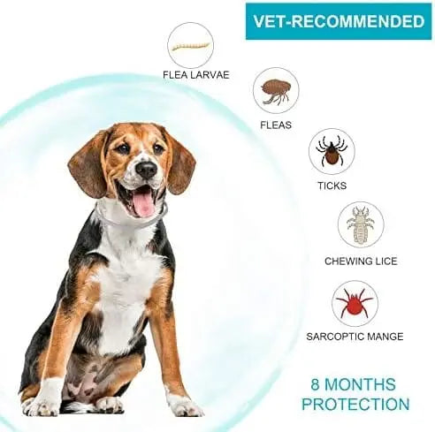 Universal Flea & Tick Collar for Dogs – 8-Month Protection, Allergy-Free, Waterproof, Adjustable