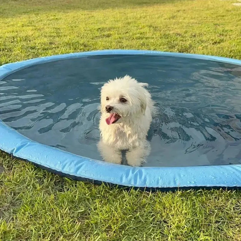 SplashyPaws Portable Backyard Splash Pad for Kids