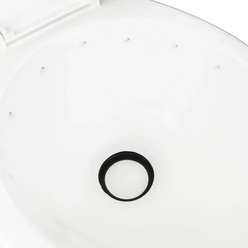 Dometic 310 Standard-Height RV Toilet  White Porcelain Bowl, Model 302310181