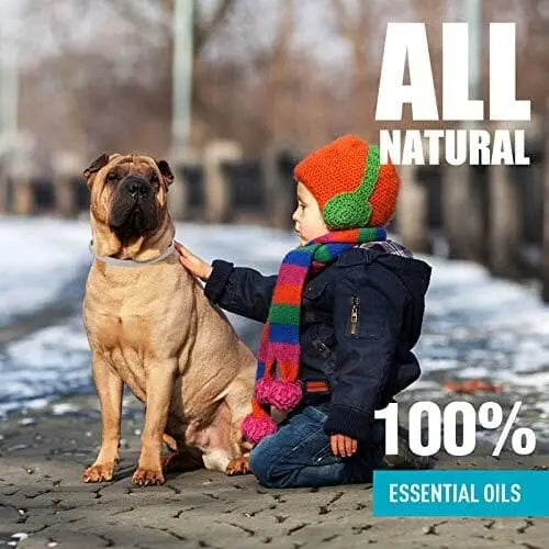 Universal Flea & Tick Collar for Dogs – 8-Month Protection, Allergy-Free, Waterproof, Adjustable