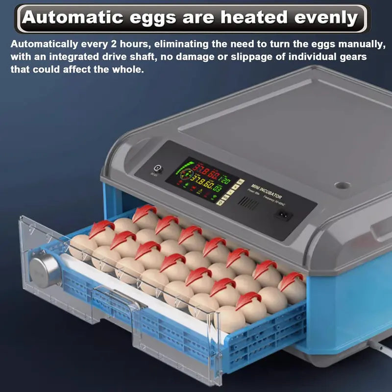 Digital Egg Incubator  192/256/500 Capacity, Auto-Turn, Temp/Humidity Control & LED Display